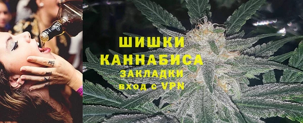 ПСИЛОЦИБИНОВЫЕ ГРИБЫ Бородино