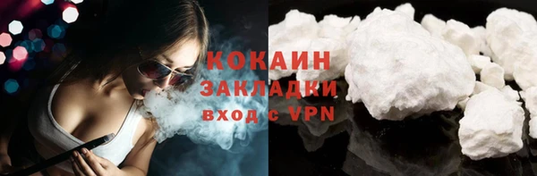 ПСИЛОЦИБИНОВЫЕ ГРИБЫ Бородино