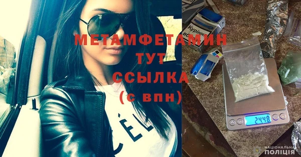 ПСИЛОЦИБИНОВЫЕ ГРИБЫ Бородино