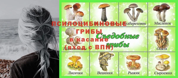 ПСИЛОЦИБИНОВЫЕ ГРИБЫ Бородино