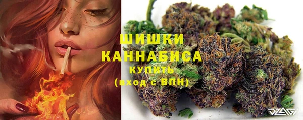 ПСИЛОЦИБИНОВЫЕ ГРИБЫ Бородино